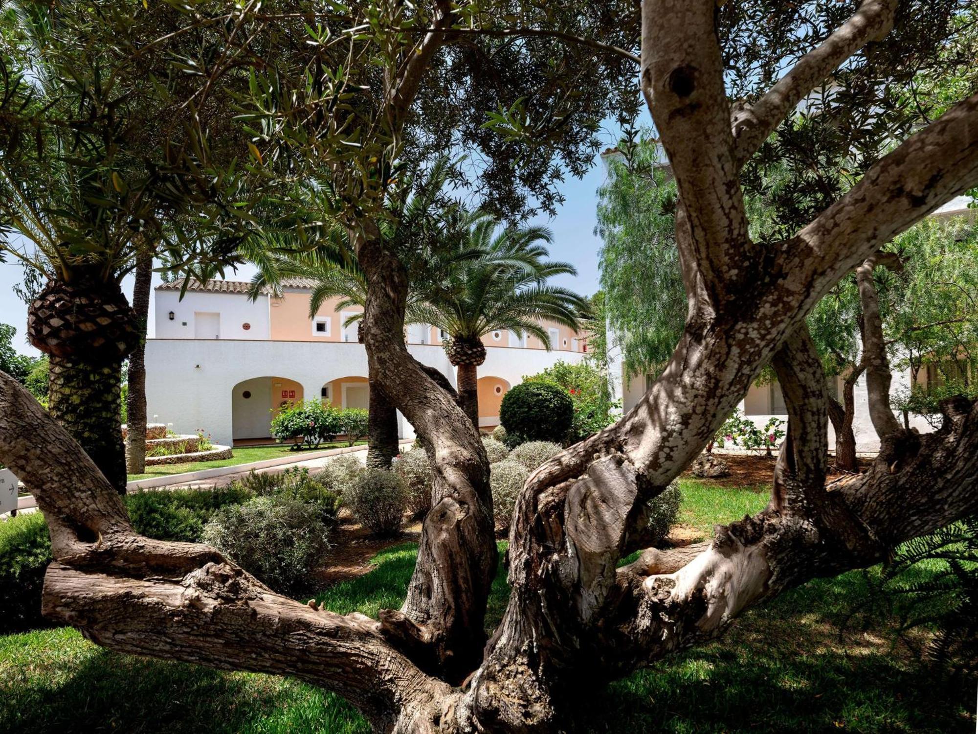Sol Falco Menorca Son Xoriguer Eksteriør billede